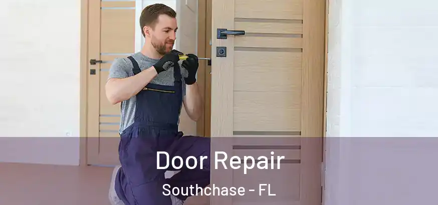  Door Repair Southchase - FL