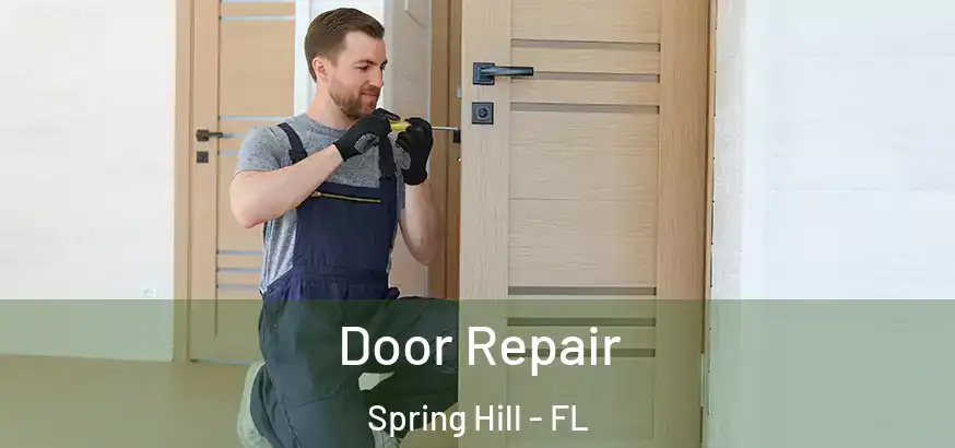  Door Repair Spring Hill - FL