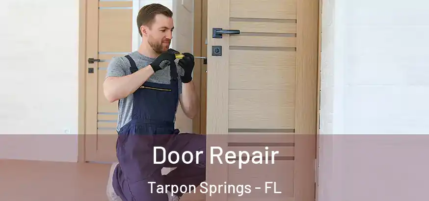  Door Repair Tarpon Springs - FL