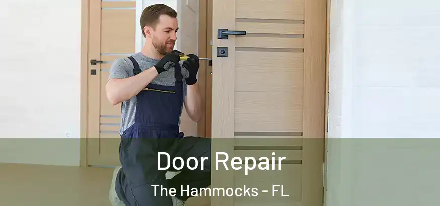  Door Repair The Hammocks - FL