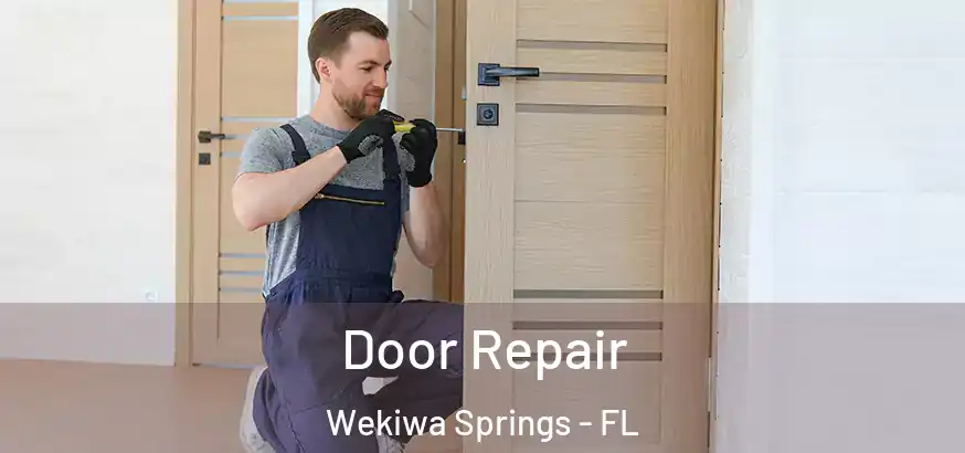  Door Repair Wekiwa Springs - FL