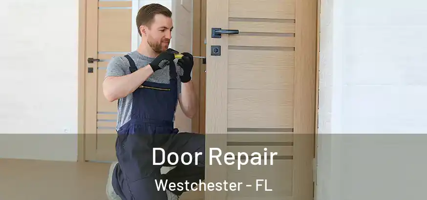 Door Repair Westchester - FL