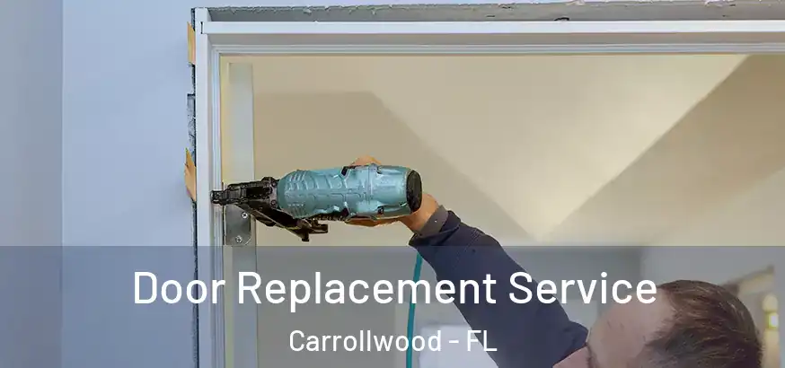  Door Replacement Service Carrollwood - FL