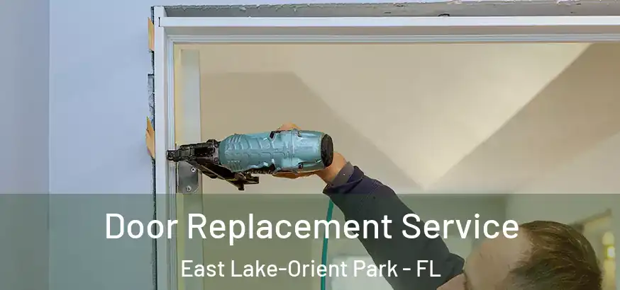  Door Replacement Service East Lake-Orient Park - FL
