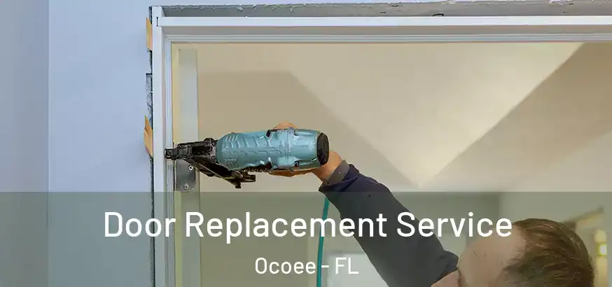 Door Replacement Service Ocoee - FL