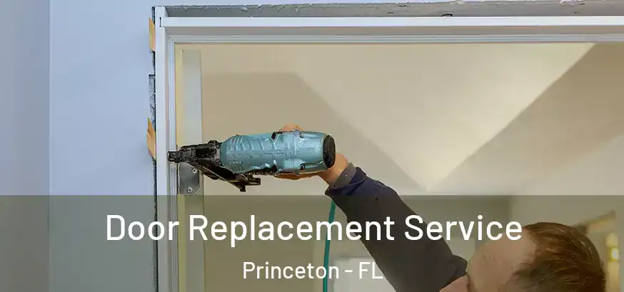  Door Replacement Service Princeton - FL