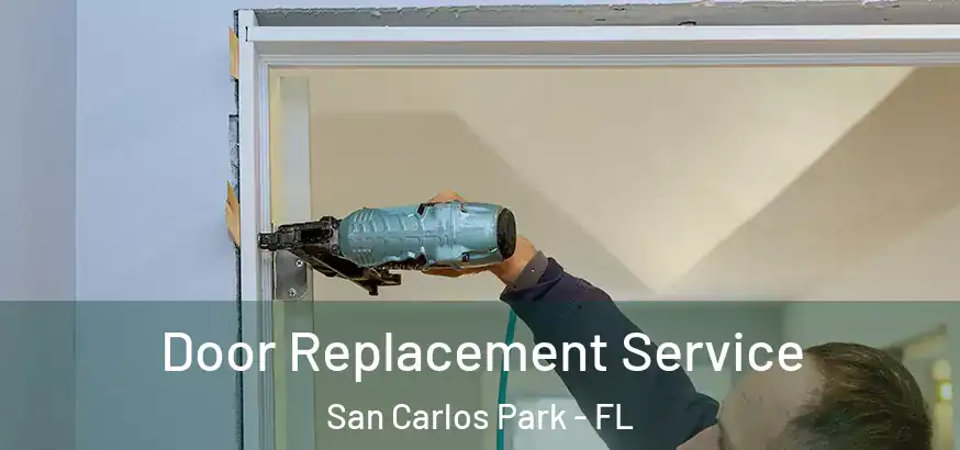 Door Replacement Service San Carlos Park - FL