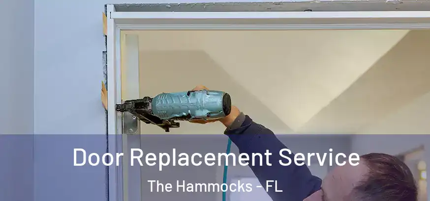  Door Replacement Service The Hammocks - FL