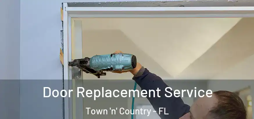  Door Replacement Service Town 'n' Country - FL