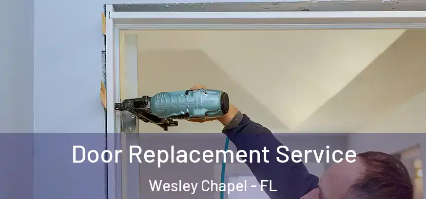  Door Replacement Service Wesley Chapel - FL