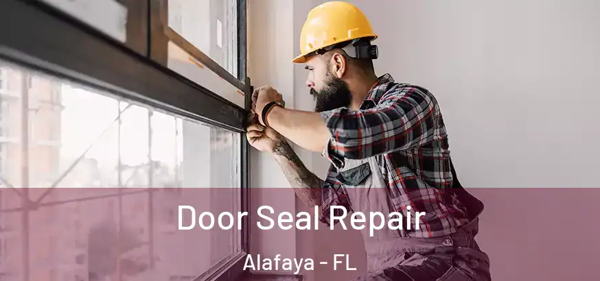  Door Seal Repair Alafaya - FL