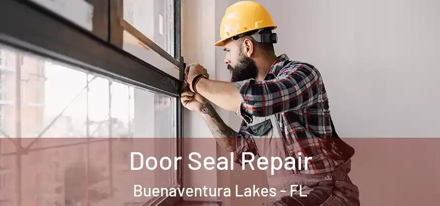  Door Seal Repair Buenaventura Lakes - FL