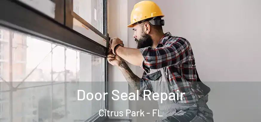  Door Seal Repair Citrus Park - FL