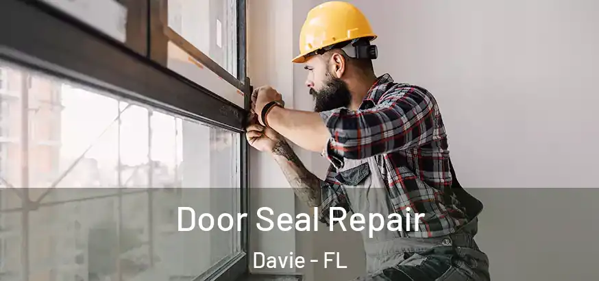  Door Seal Repair Davie - FL