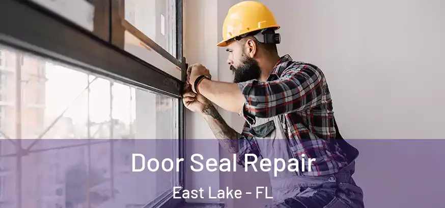 Door Seal Repair East Lake - FL