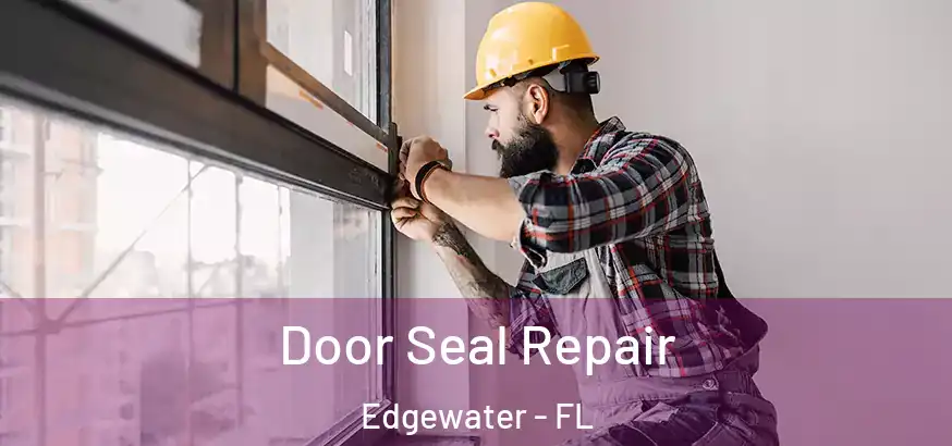  Door Seal Repair Edgewater - FL