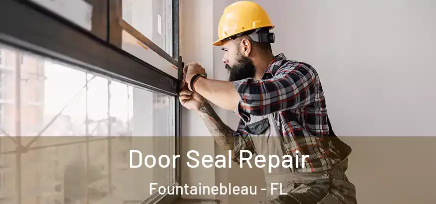  Door Seal Repair Fountainebleau - FL
