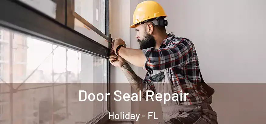 Door Seal Repair Holiday - FL
