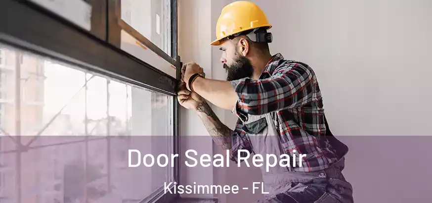  Door Seal Repair Kissimmee - FL