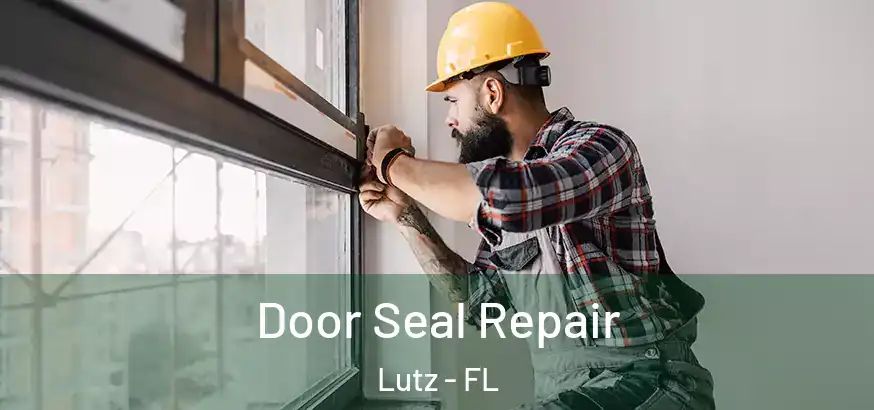 Door Seal Repair Lutz - FL