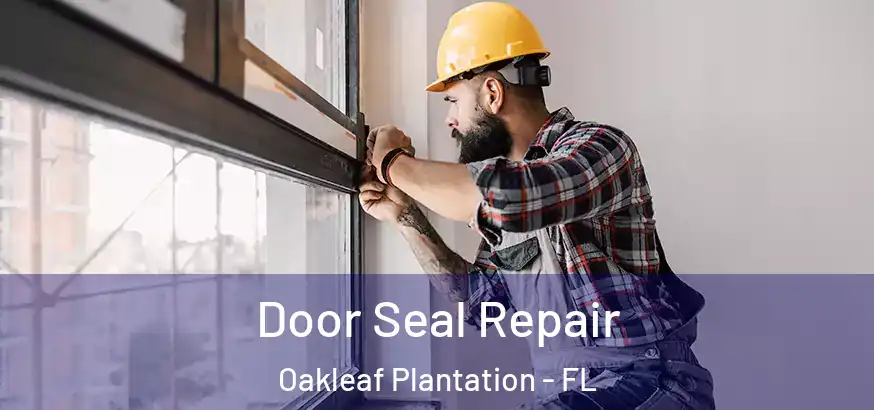  Door Seal Repair Oakleaf Plantation - FL