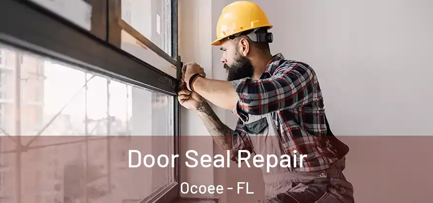  Door Seal Repair Ocoee - FL
