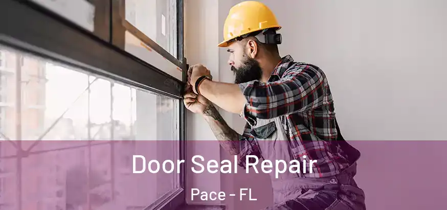  Door Seal Repair Pace - FL