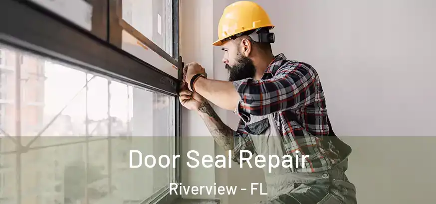 Door Seal Repair Riverview - FL