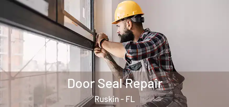 Door Seal Repair Ruskin - FL
