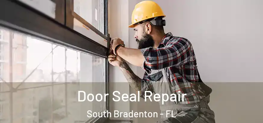  Door Seal Repair South Bradenton - FL