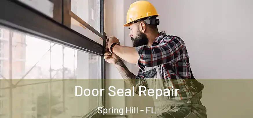 Door Seal Repair Spring Hill - FL