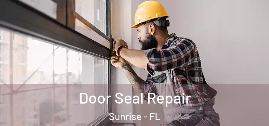  Door Seal Repair Sunrise - FL