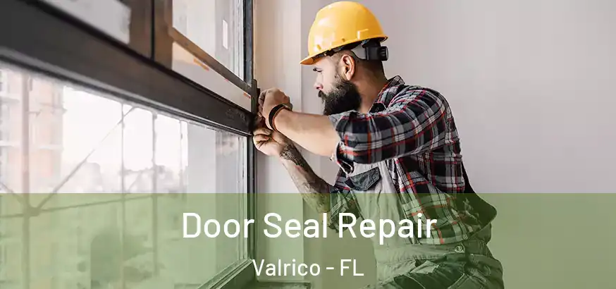  Door Seal Repair Valrico - FL