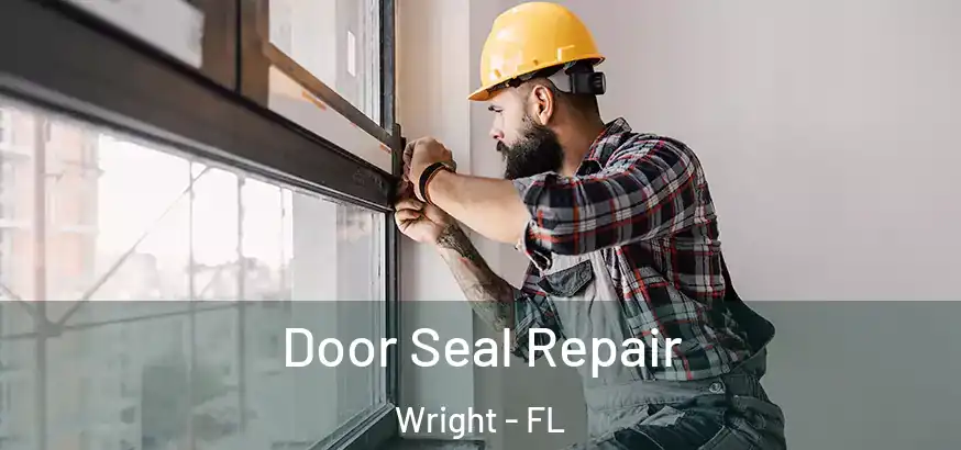  Door Seal Repair Wright - FL