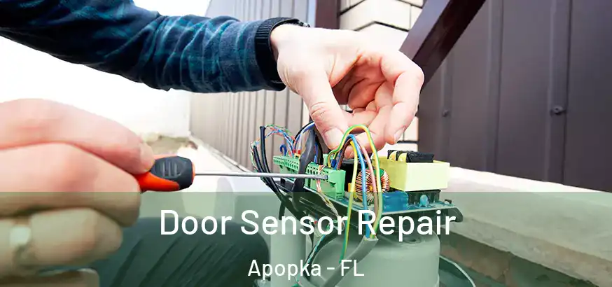 Door Sensor Repair Apopka - FL