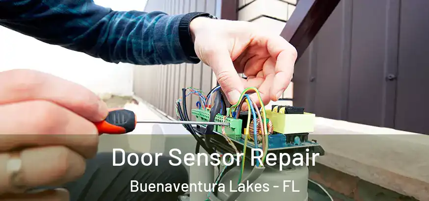  Door Sensor Repair Buenaventura Lakes - FL