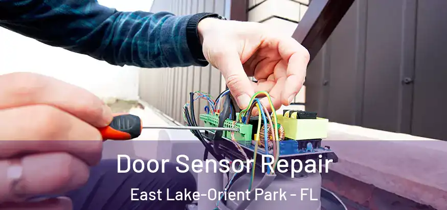 Door Sensor Repair East Lake-Orient Park - FL