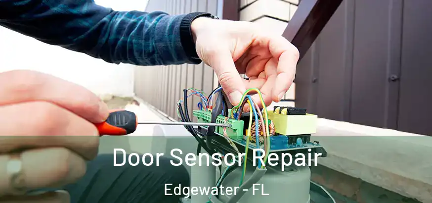 Door Sensor Repair Edgewater - FL