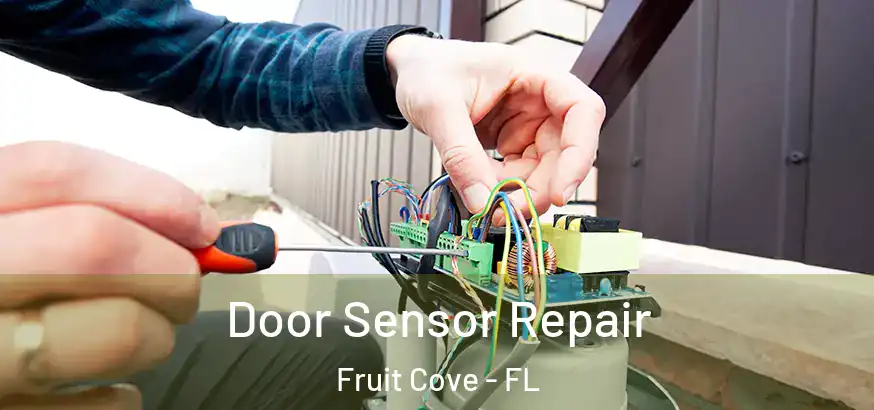  Door Sensor Repair Fruit Cove - FL
