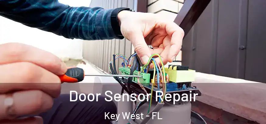  Door Sensor Repair Key West - FL