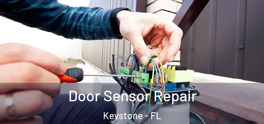 Door Sensor Repair Keystone - FL