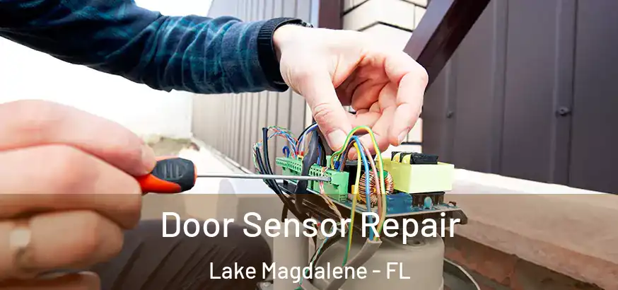 Door Sensor Repair Lake Magdalene - FL