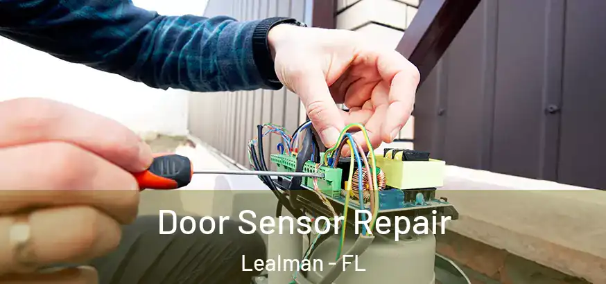  Door Sensor Repair Lealman - FL
