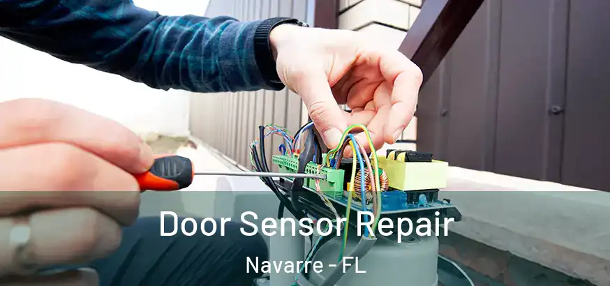 Door Sensor Repair Navarre - FL