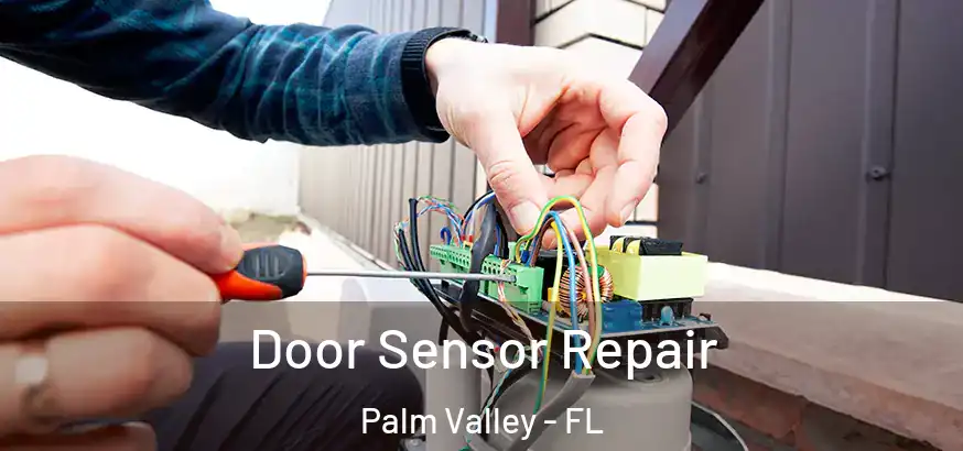  Door Sensor Repair Palm Valley - FL