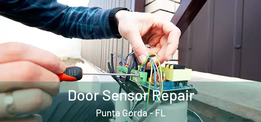  Door Sensor Repair Punta Gorda - FL