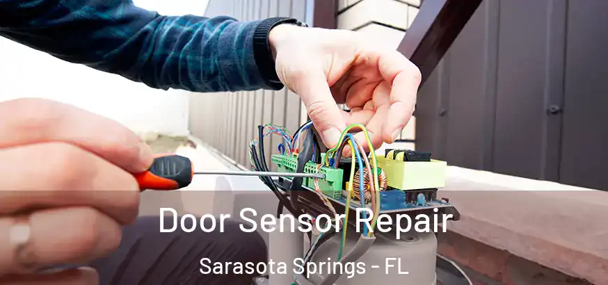  Door Sensor Repair Sarasota Springs - FL