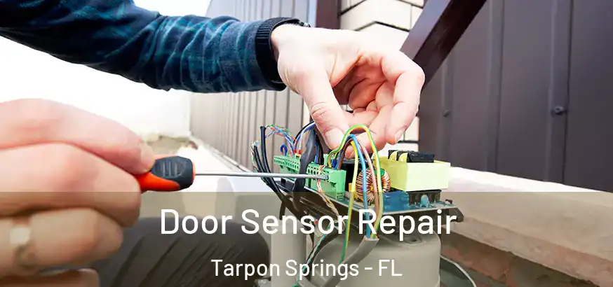  Door Sensor Repair Tarpon Springs - FL