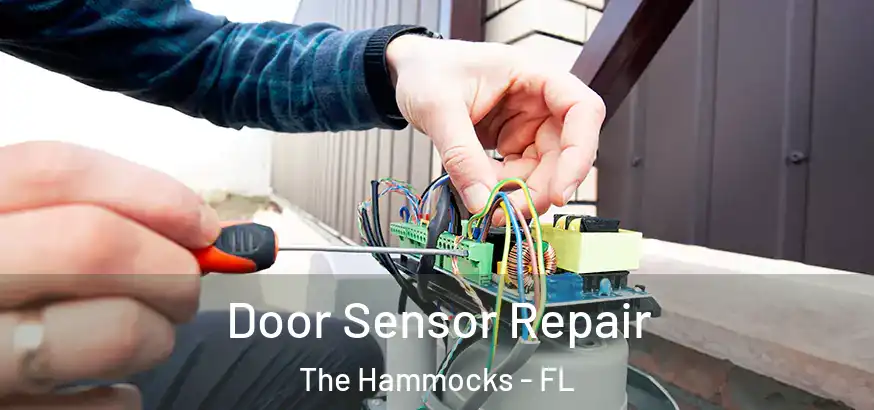  Door Sensor Repair The Hammocks - FL