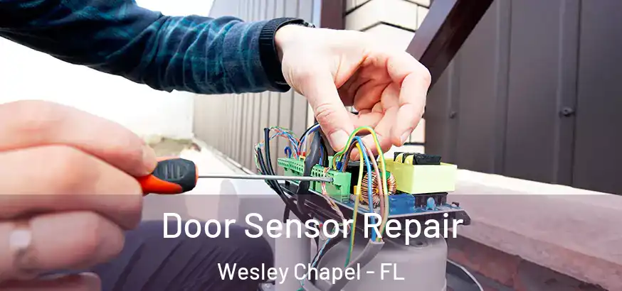  Door Sensor Repair Wesley Chapel - FL